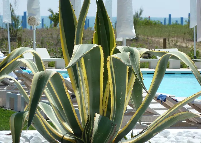 Hotel Mediterraneo Suite&Residence